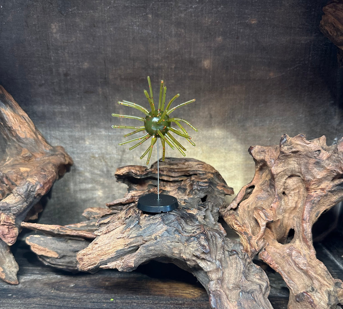 2.5” Fuzzy Urchin 3/4” Body