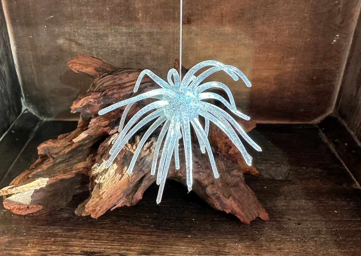 4” Fuzzy Urchin 3/4” Body