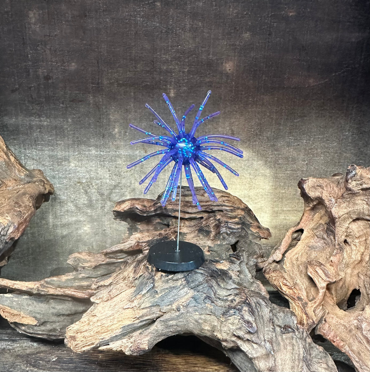 2.5” Fuzzy Urchin 5/8” Body