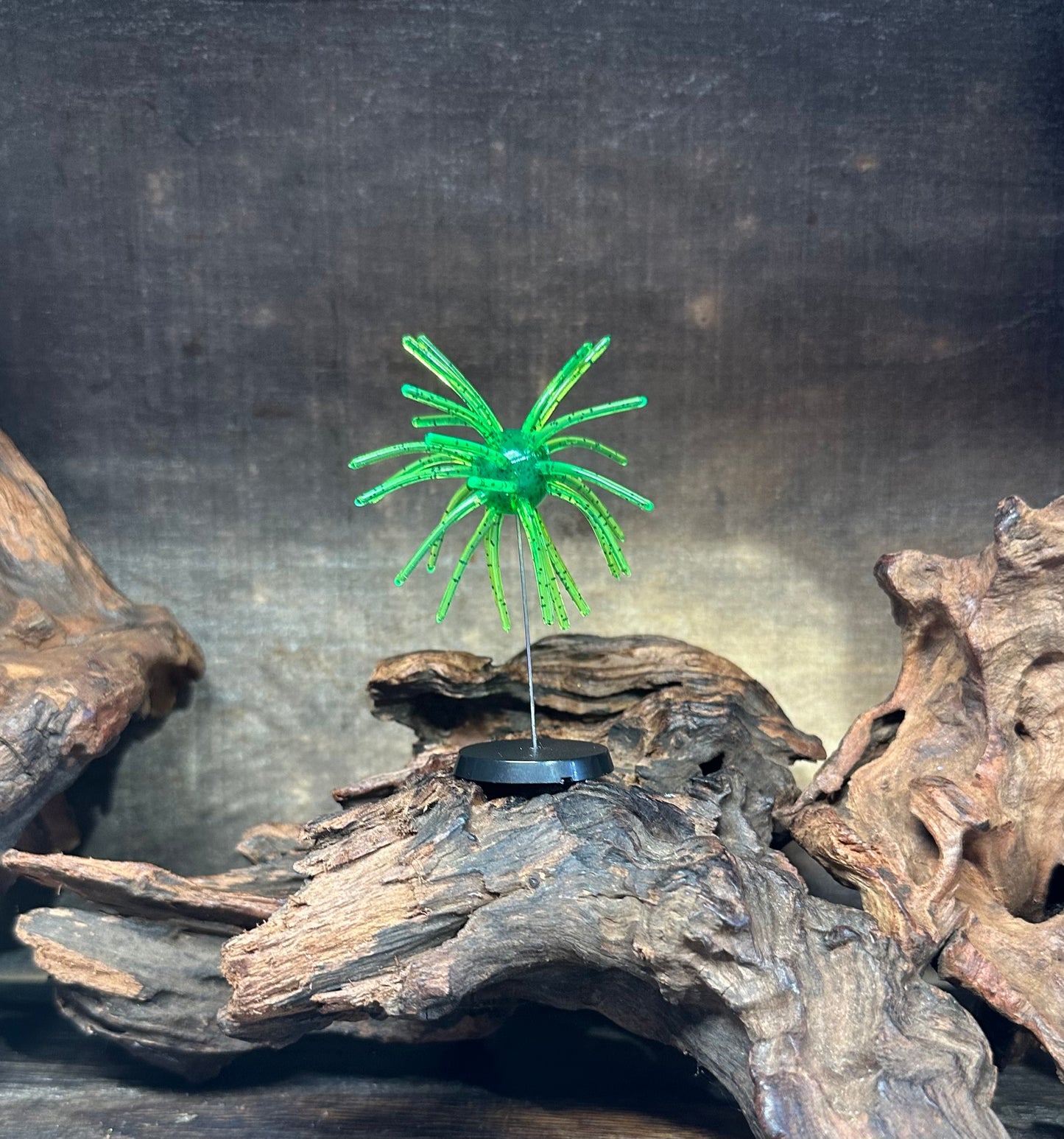 2.5” Fuzzy Urchin 5/8” Body