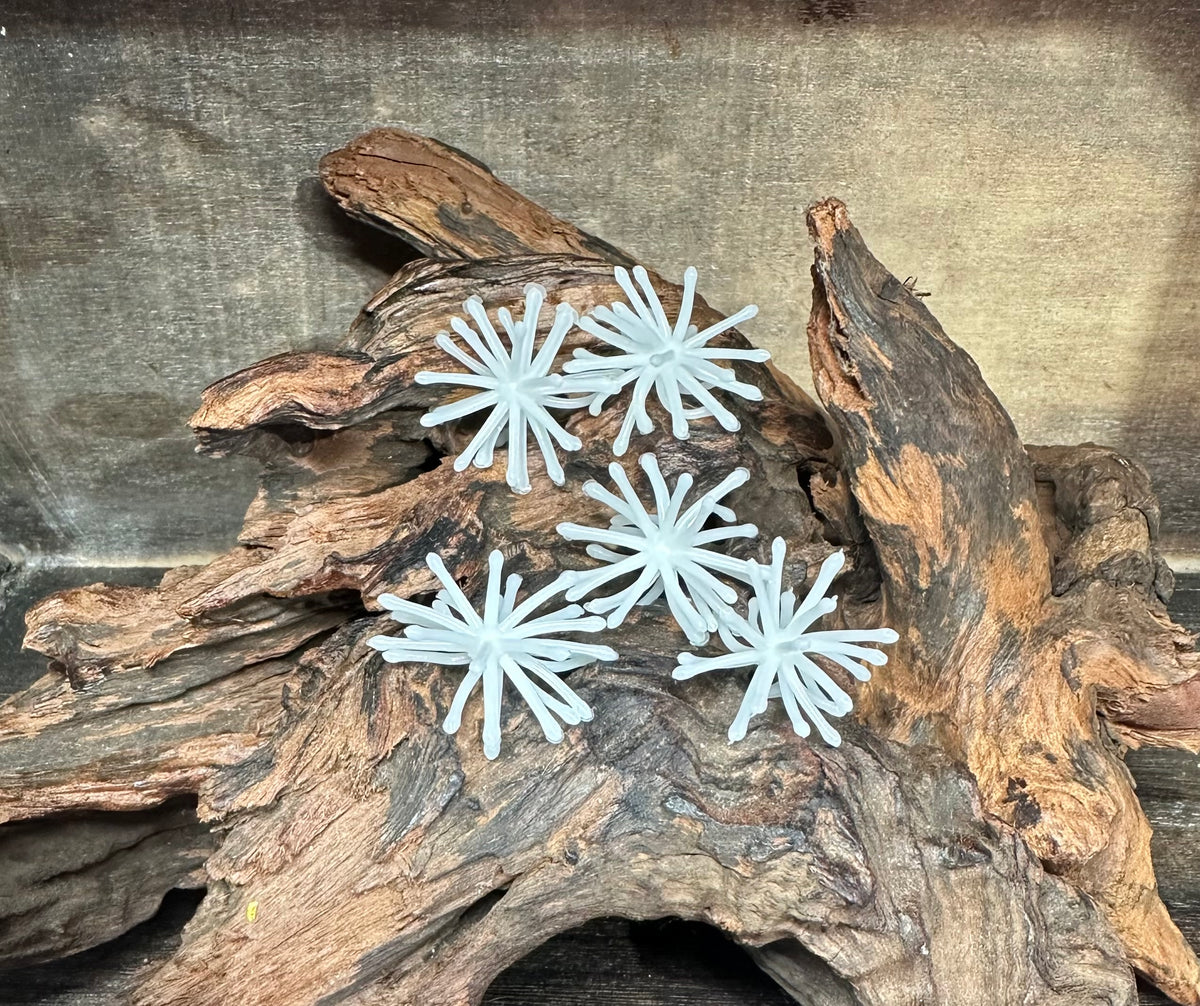 1.25” Fuzzy Urchin