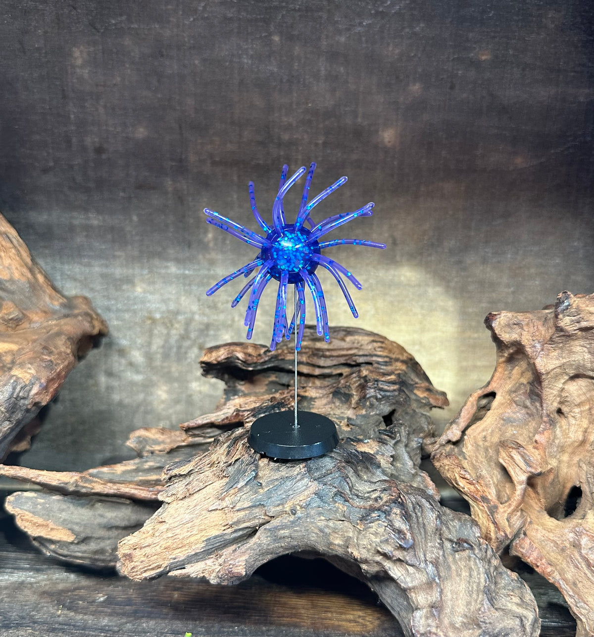 2.5” Fuzzy Urchin 3/4” Body