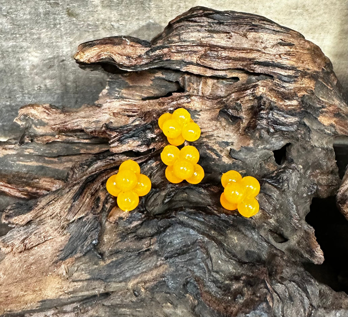Salmon Egg Clusters 1/4”eggs