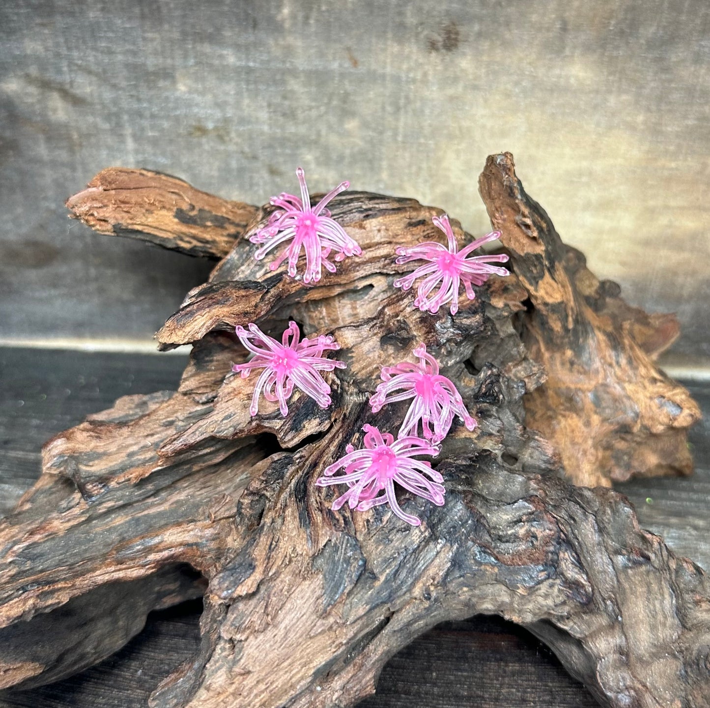 1.25” Fuzzy Urchin