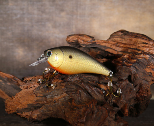 1.5" Square Bill Crankbait ( Gold Shad )