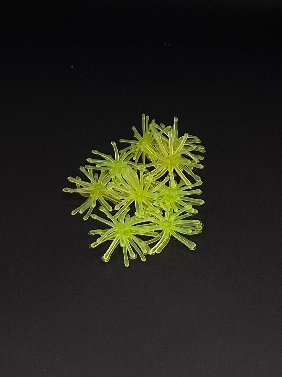 1.25” Fuzzy Urchin